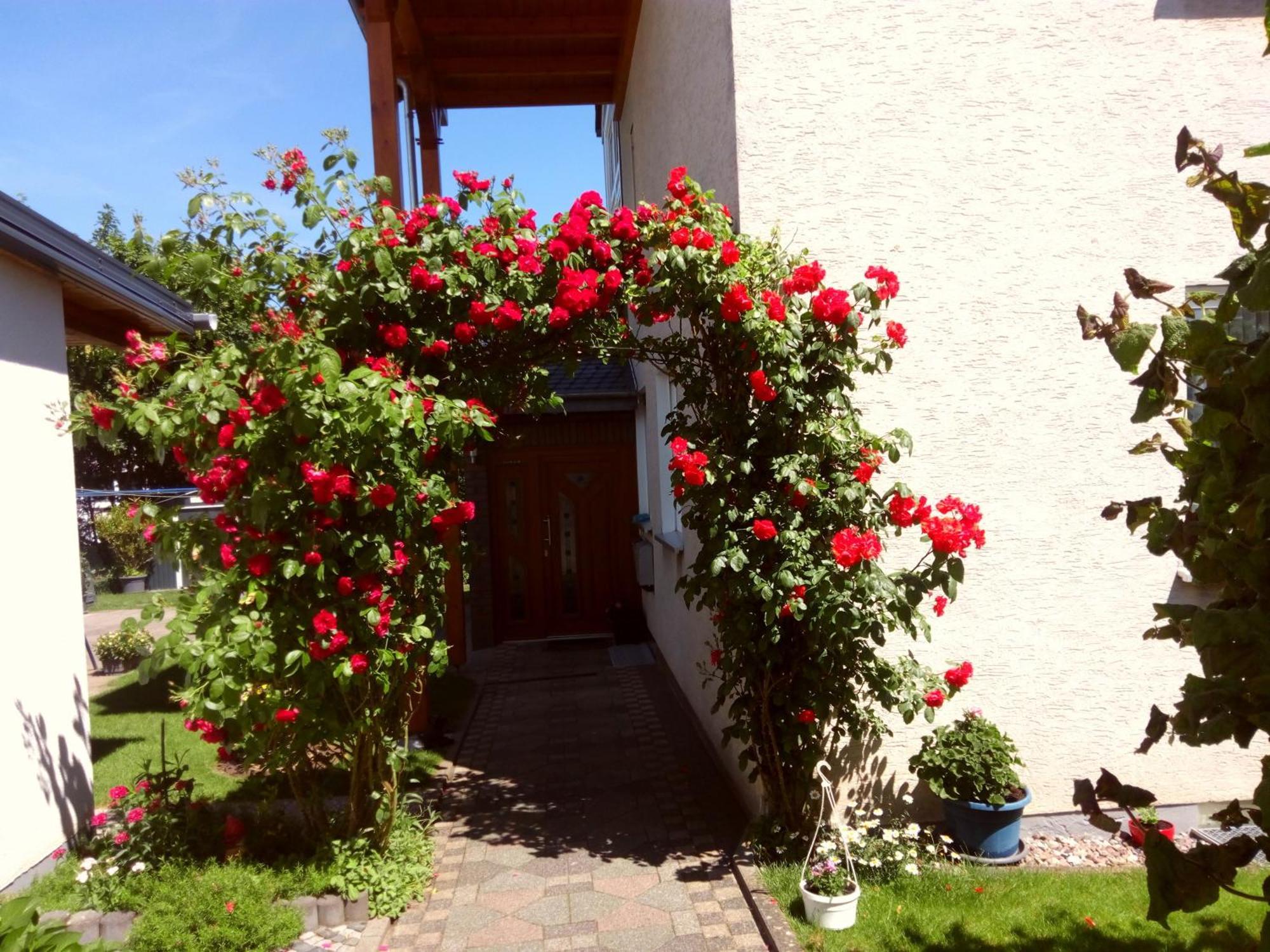 Fewo Rasche Zum Traeumen Beverungen Exterior foto